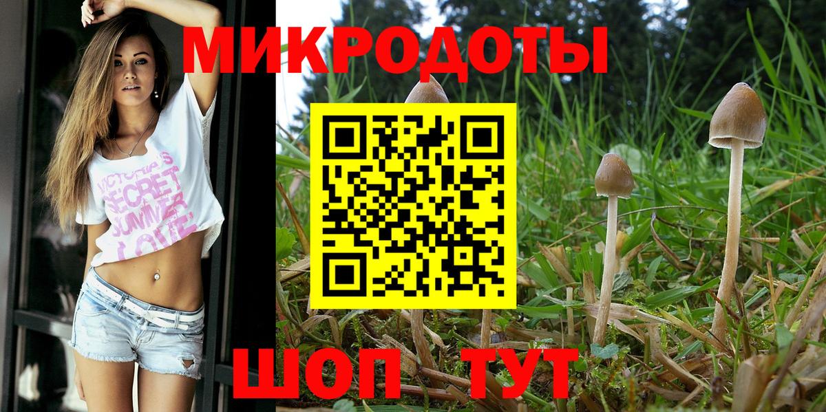Шахты  Псилоцибиновые грибы Psilocybe  Вход с VPN 